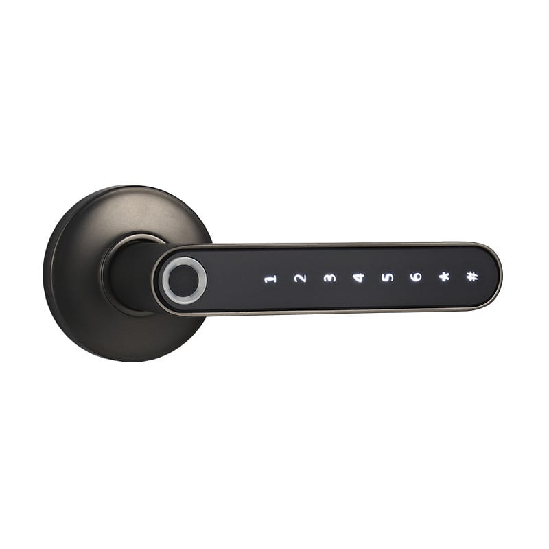 Smart Lock Fingerprint Password Electric Digital Lock Alloy Keyless Security Door Handle For Home by Jabula & Co